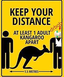 kangaroo3.jpg