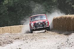 Goodwood FOS 2013 111.jpg